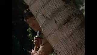 Дикий пляж (1989)