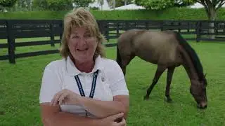 Helena Stormanns: Finding Success in the World of Showjumping