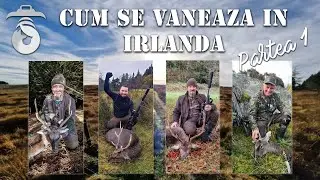 Cum se vaneaza in Irlanda - Partea 1