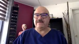 Bien venida Morfo 1