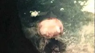 1945.08.09 Нагасаки (Nagasaki)