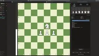 Шахматы  Основы игры