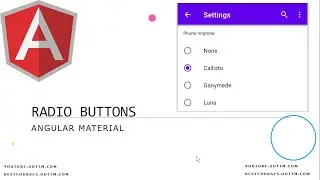 Angular Material Radio button groups and lists - explained with live easy examples