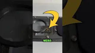 Disabled Ant!
