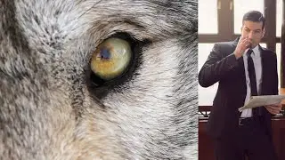 Do You Have Alpha Male Personality? Check Yourself!