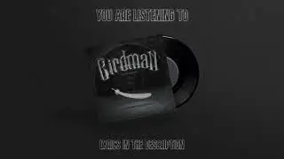 Sudden Break - BIRDMAN (Official Audio)