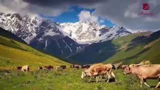 Каникулы в Грузии вместе с Armelle!