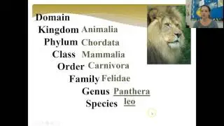 Classification of Living Things