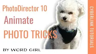 Photodirector 10 animate photo tricks!  NEW!