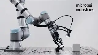 Automate What Cannot Be Automated