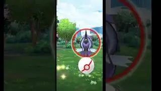 I hate Tapu Fini #shinypokemon #pokemongo #pokemon #tapufini #shinypokemon #androidgames #raid