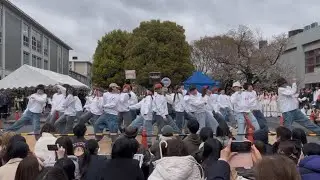【慶應Revolve】Middleオリエン中庭公演2025