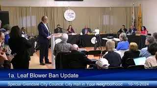 Special City Council: City Hall in Your Neighborhood - 10/15/2024
