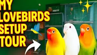 Preparation breeding season 2025 - 26