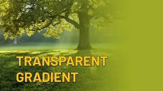 How to Create a Transparent Gradient in Adobe Photoshop