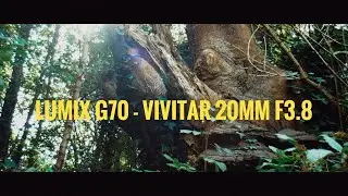 Lumix G7/G70 - Vivitar 20mm F3.8