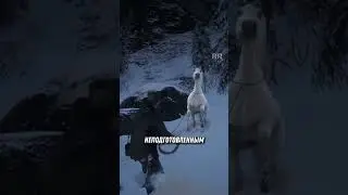 White fast horse in RDR 2 😍🦄 