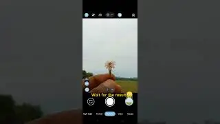 Wait For Result😳😵‍💫 #shorts #shortvideo #gcam #photography #flowers