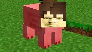 Minecraft Выживание на сервере  (java+berdrock) ОЦЕНКА КАНАЛОВ