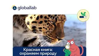 Биология, 8 класс. Разбор проекта 