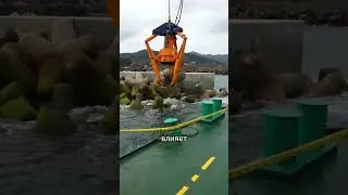 Эти конструкции защищают побережье!