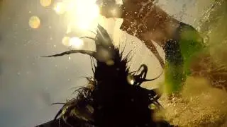 GoPro Beach