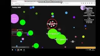 #4 Bubble.am & Zygzak
