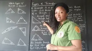 PEP Maths  Triangles  Types of Triangles   Grade 4 Mathematics   Primary Exit Profile Exam Prep