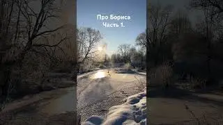Как Борис оказался у нас 