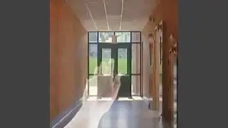 Burn It Down