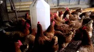 Talk around the water cooler...