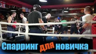 Продолжаю тренировки 🥊 Спарринг для новичка 🥊 В БОКС ПОСЛЕ 30 лет
