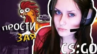 НАПЕТУШИЛА 500 ЧЕЛОВЕК CS:GO