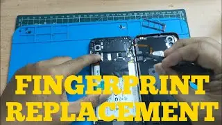 Fingerprint Replacement