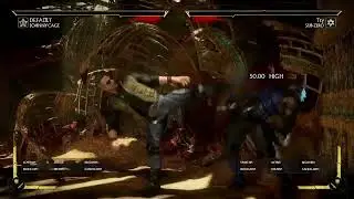 JohnnyCageCombos