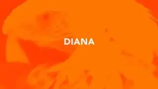 DIANA - 