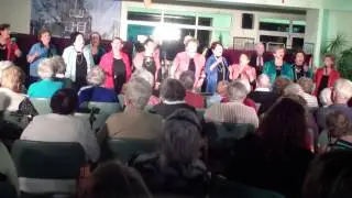 ישראל פינקלשטיין ולהקת אחוזה
