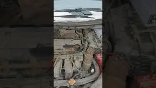 Автономный лбп