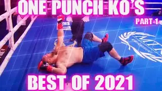 One Punch Knockouts | Best of 2021 | Part 1