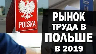 Что ждет рынок труда в Польше в 2019. Ждут ли вас поляки?