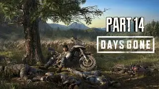 DAYS GONE Walkthrough Part 14 - PC LIVE Gameplay No Commentary
