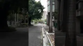 Потоп в квартире: Что делать, если течет потолок? 