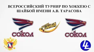 Сокол 2009 - Сокол 2008