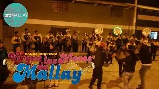 Tinta 2018 Banda Orquesta Virgen de las Nieves de Mallay