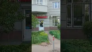 Готовы пригласить таких соседей на праздник?