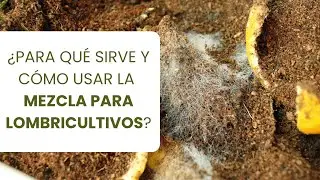 Mezcla para Lombricultivos y Compostadoras: el ingrediente clave para un lombricultivo exitoso