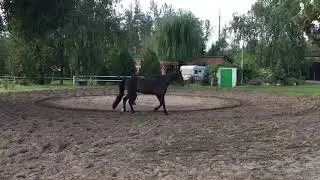 6 сентября 2021 г.(1)
