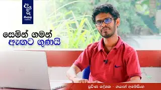සෙමින් ගමන් ඇඟට ගුණයි | අකීකරු සිංහල පන්තිය - ගයාන් අබේසිංහ