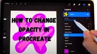 How to change the opacity of a layer in Procreate 