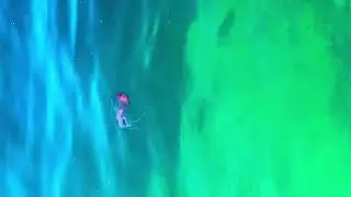 Sopa de medusas